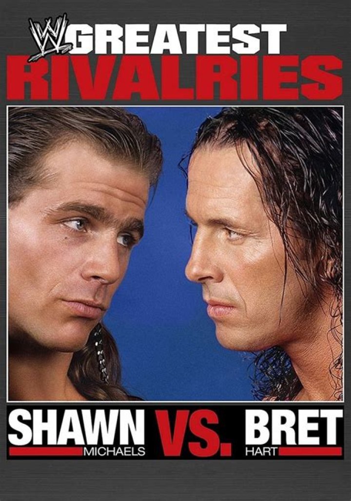 Bret Vs Shawn