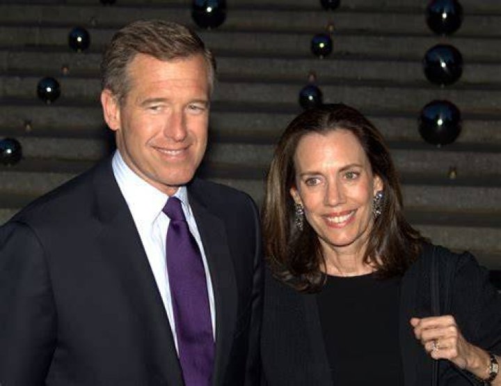 Brian Williams career Brian Williams career