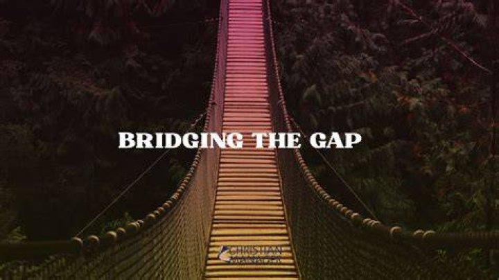 Bridging the gap: Why playing bridge is good for you ... and fun