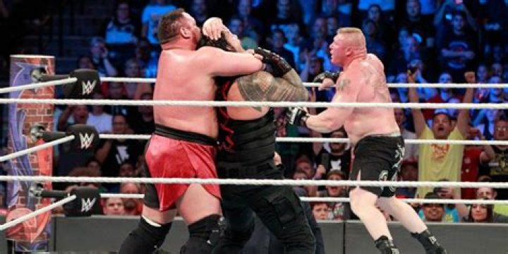 Brock Lesnar's 14 Best PPV Matches, According To Cagematch.net