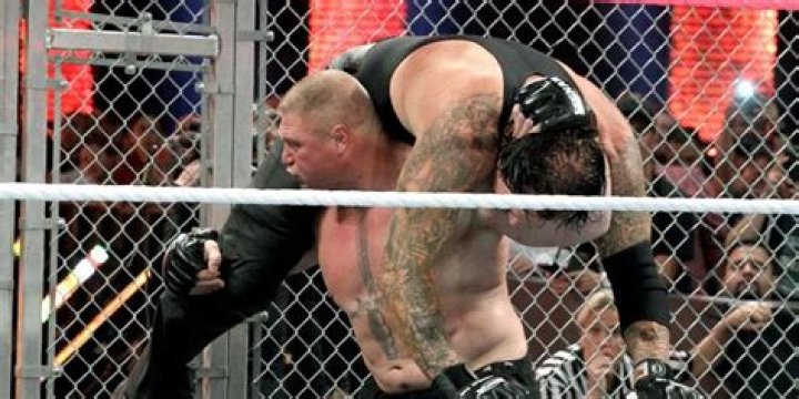 Brock Lesnar v Undertaker Hell in a Cell 2015 Cropped