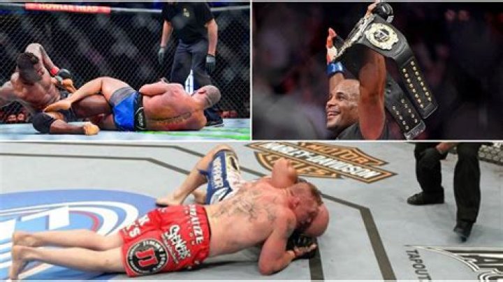 Brock Lesnar vs Shane Carwin (& 9 Other Biggest Heavyweight Fights In UFC History)