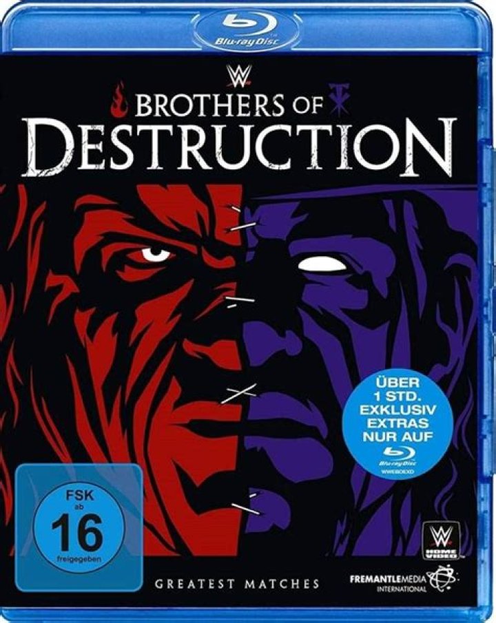Brothers Of Destruction Kane And Undertaker