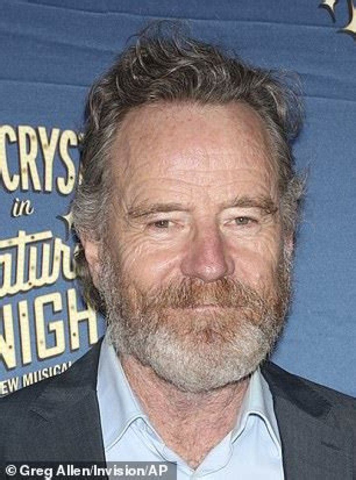 Bryan Cranston with a beard in Your Honor