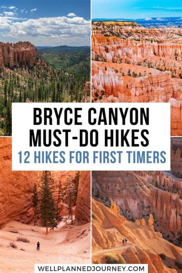 Bryce Cameron - The List
