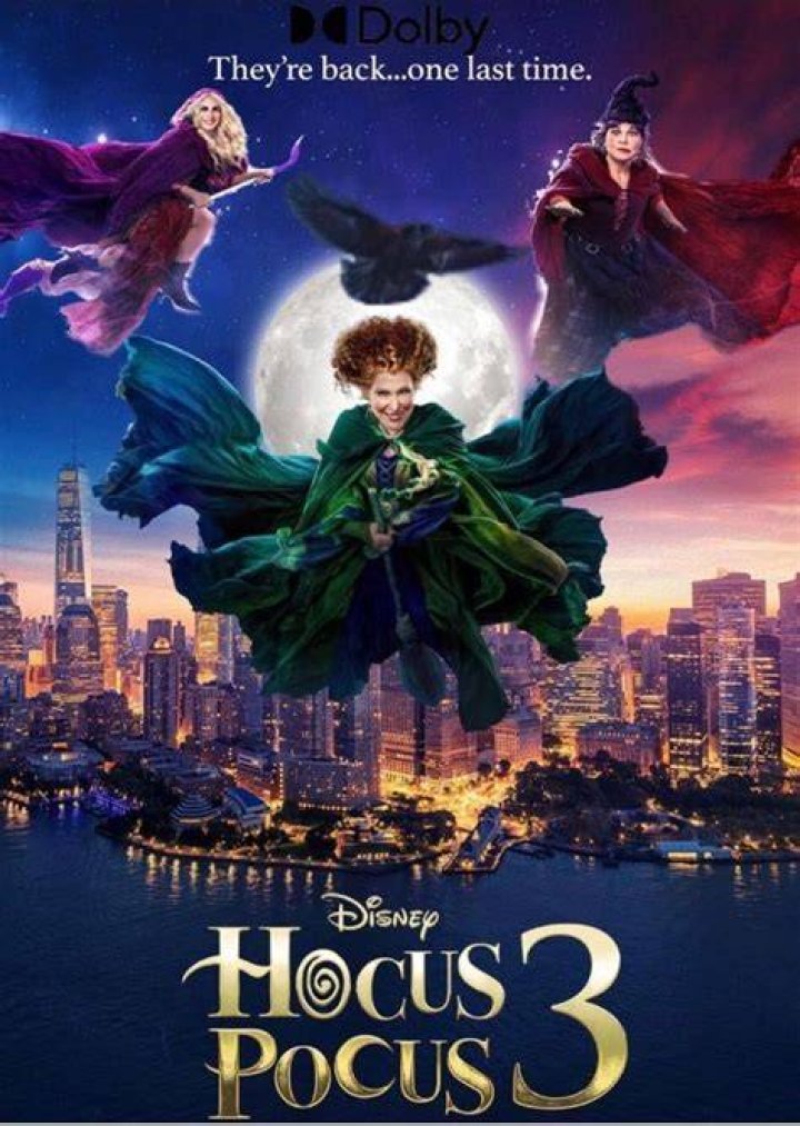 Bus Driver Fan Casting for Hocus Pocus | myCast