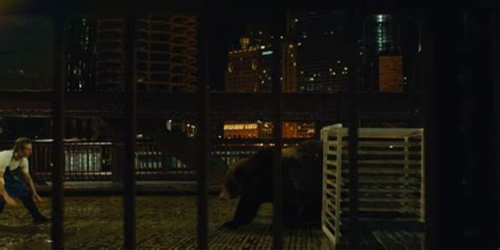 Carmy On The Bridge With Bear Coming Out Of Cage Dream The Bear.jpg
