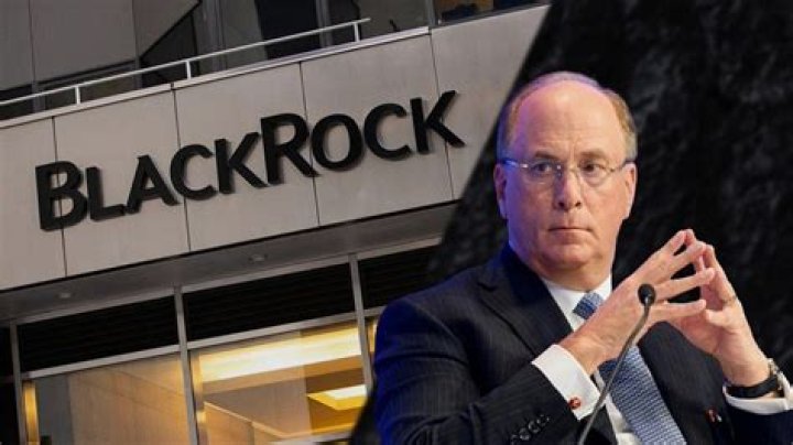 CEO Larry Fink Builds BlackRock Empire from Modest Means CSuite