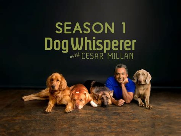 Cesar Millan Dog Tips cesar with finger on face