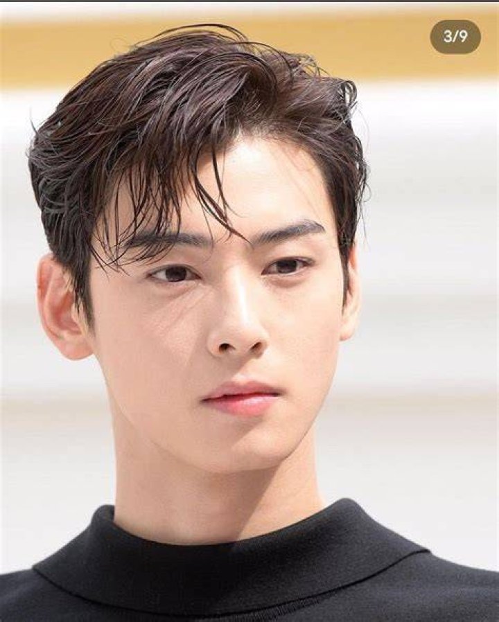 Cha Eun Woo's Romantic Engagement The LongAwaited News