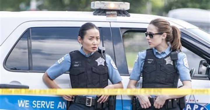 Chicago P.D. Made a Wrong Turn Photo 2922679