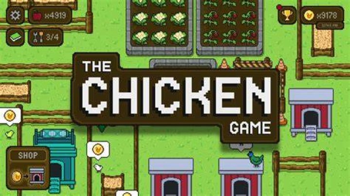 Chicken-Game