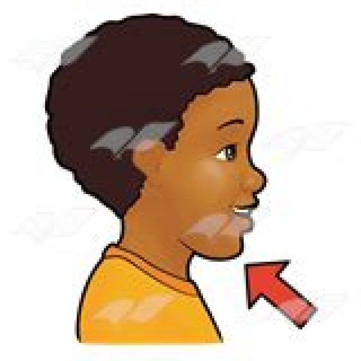 Chin clipart 20 free Cliparts Download images on Clipground 2024