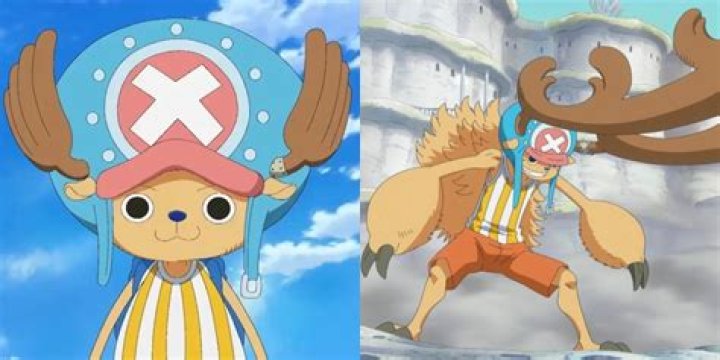 Chopper in One Piece