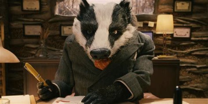 Clive Badger sitting at his desk in Fantastic Mr Fox
