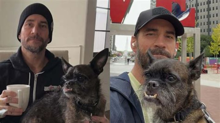 CM Punk’s Dog Once Again Stands in the Way of a Shocking WWE Return: “I’ve
Cancelled Things Coming Up”