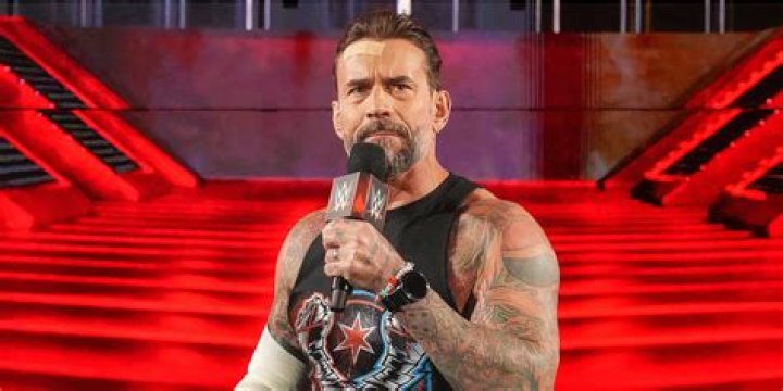 cm punk wwe backstage fantasy book