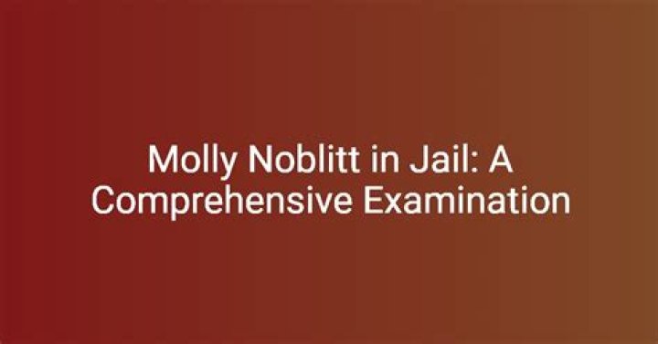 Comprehensive Guide To Molly Noblitt Charges A Legal Overview