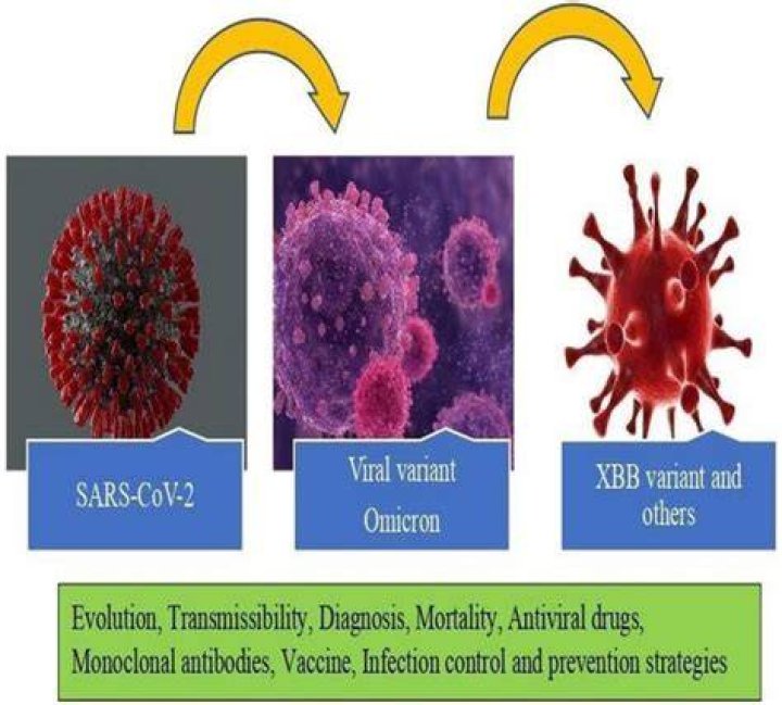 Covid19, sub variant, Omicron, over 3k new cases, Gauteng highest number of cases, KZN second Covid19, sub variant, Omicron, over 3k new cases, Gauteng highest number of cases, KZN second