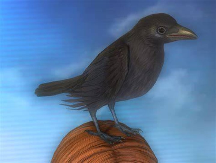 Crow final talk in Sever quest season of the haunted.