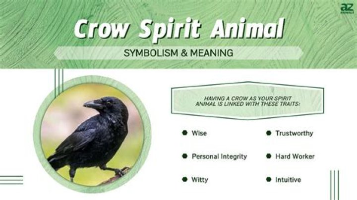 Crow Symbolism A Complete Guide Birdfact
