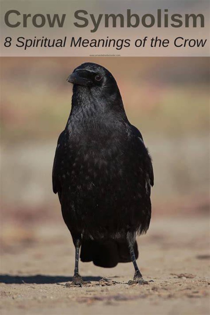 Crow Symbolism: Understanding The Mystical Meaning Behind Crows