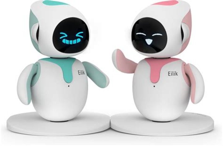 Cute Pih: The Adorable Companion You Need In Your Life