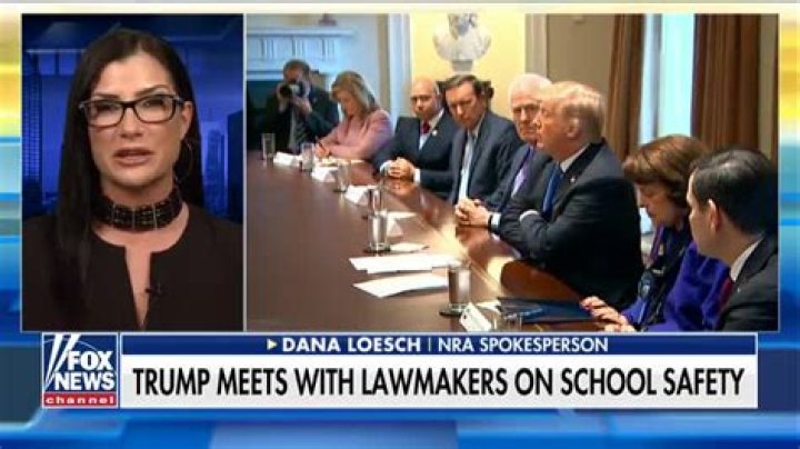 Dana Loesch sounds off about the push for gun legislation Fox News Video