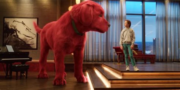 Darby Camp smiles in Clifford the Big Red Dog