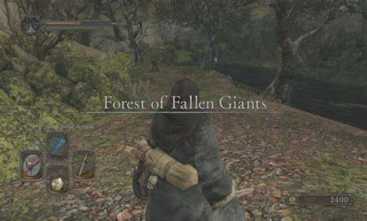 Dark Souls 2 Walkthrough Part 2: Forest of Fallen Giants