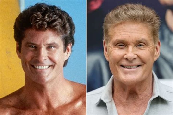 David Hasselhoff as David Hasselhoff's role in The SpongeBob SquarePants Movie (2021)