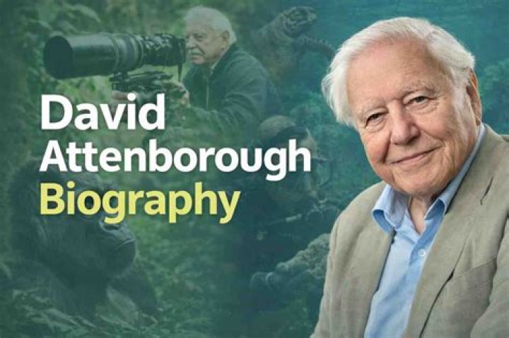 David Vadim Biography, Height & Life Story Super Stars Bio