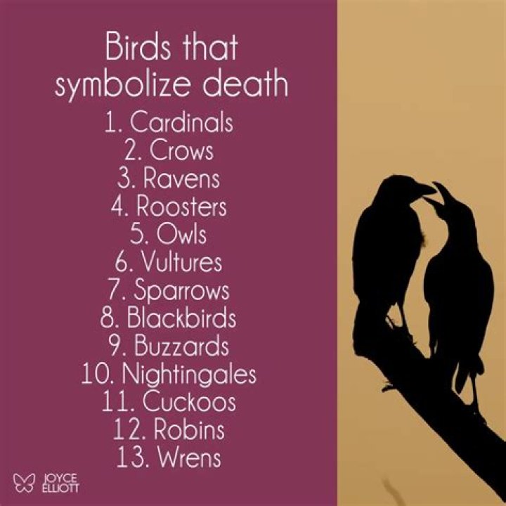 Death Symbolism (9 Top Meanings & Symbols)