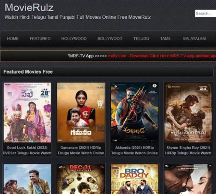 Discovering Movierulz Adlut: Your Gateway To Adult Entertainment