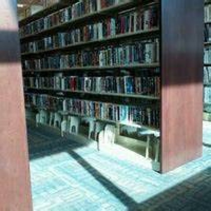 Discovering The Treasures Of The Public Library West Lafayette