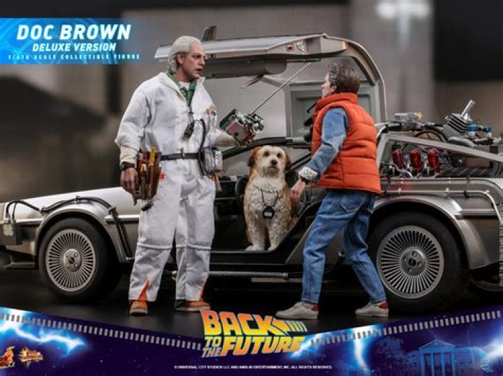 Doc Brown Back to the future 3 the delorean