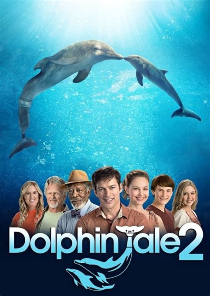 Dolphin Tale 3 Fan Casting on myCast