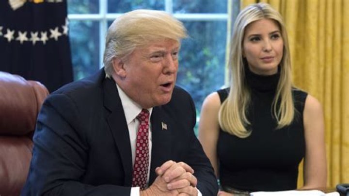 Donald Trump Had A Major Issue With Six-Year-Old Ivanka's Lego Trump Tower Replica
