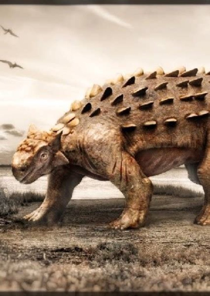 Dracopelta Fan Casting