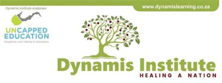 Dynamis Institute website Dynamis Institute website