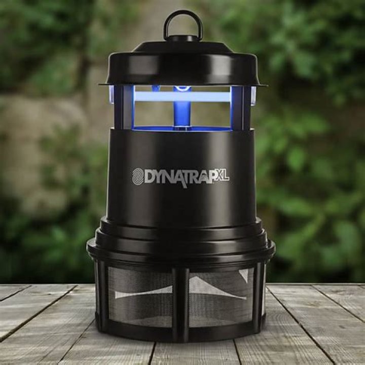 Dynatrap Insect Trap Review Must Read This Before Buying