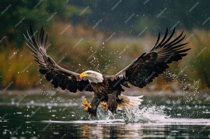 Eagle's Landing Country Club Stockbridge Venue PartySlate