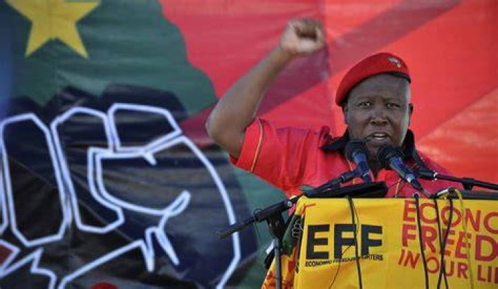 Economic Freedom Fighter, EFF, Julius Malema, Mark Oppenheimer, AfriForum, Lawyer, Hate speech, Cross examination, South Gauteng High Court, Johannesburg, Legal representative, Civil rights organisation, Dubul'ibhunu