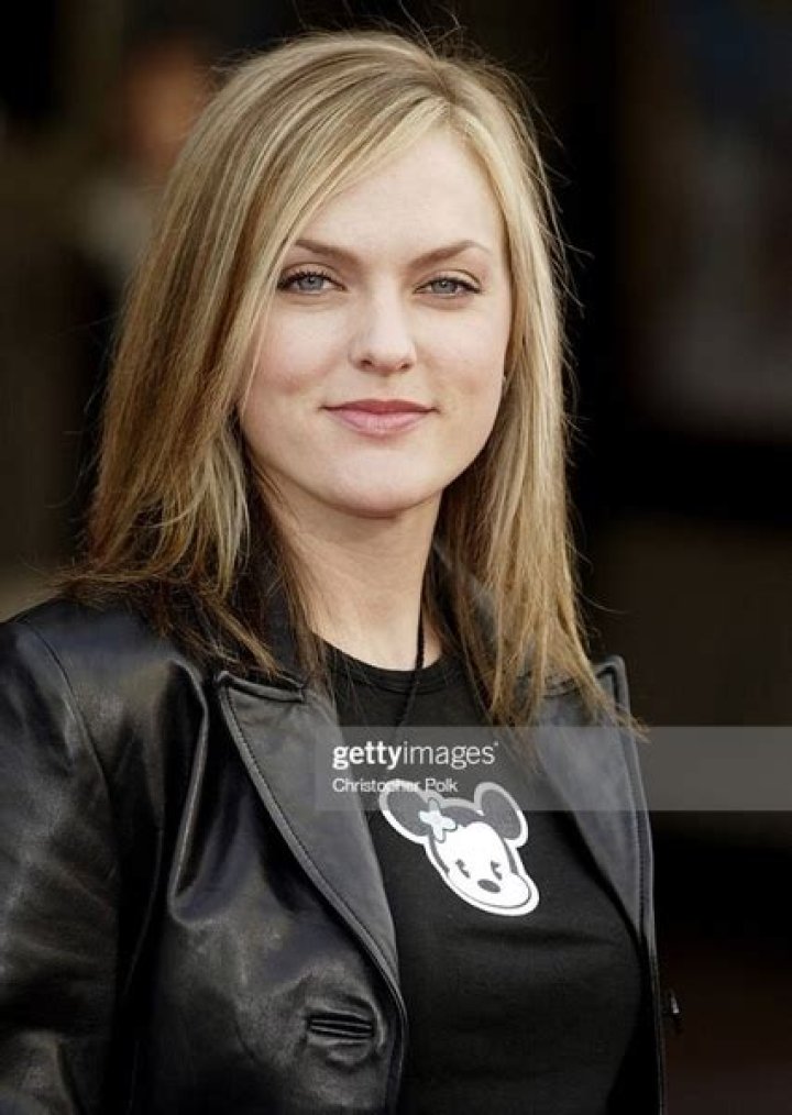 Elaine Hendrix Fan Casting