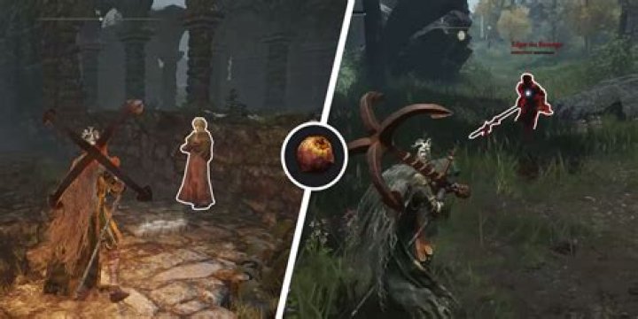 Elden Ring: All Shabriri Grape Locations for Hyetta