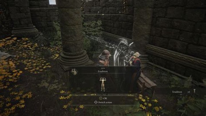 Elden Ring: How to Solve the Converted Tower Puzzle