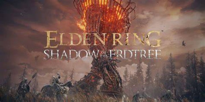 Elden Ring Shadow of the 4K 1521o Wallpaper iPhone Phone