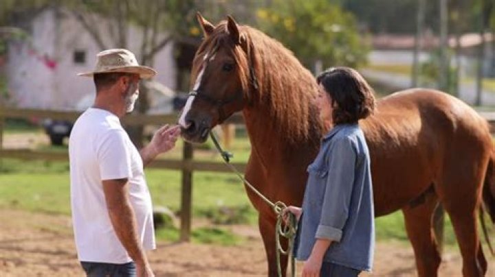 Elizabeth Horsemen