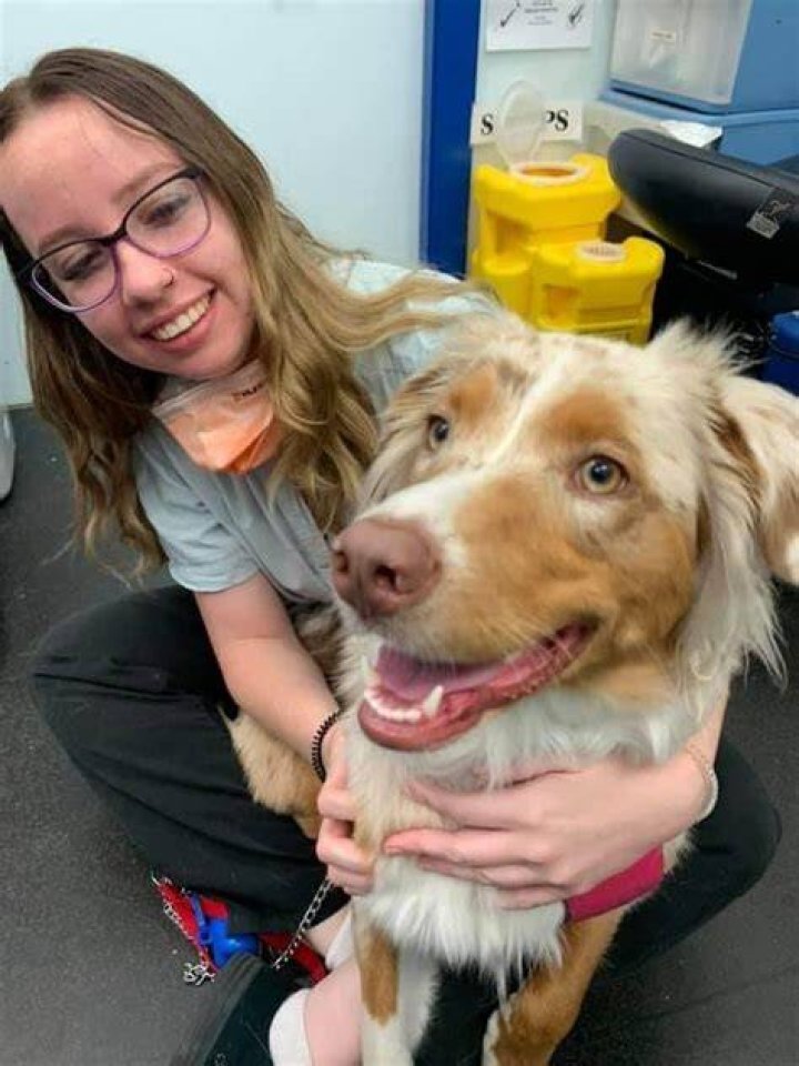 Ella Seaver Sydney Animal Hospitals