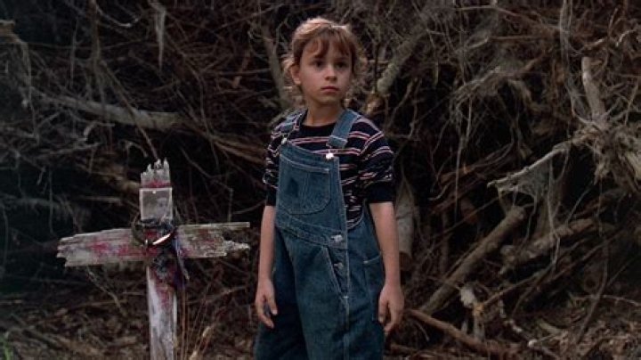Ellie Pet Sematary
